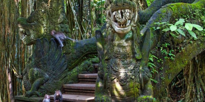 Лес обезьян Бали
