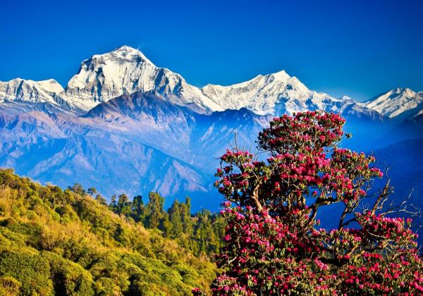 pokhara-nepal.jpg