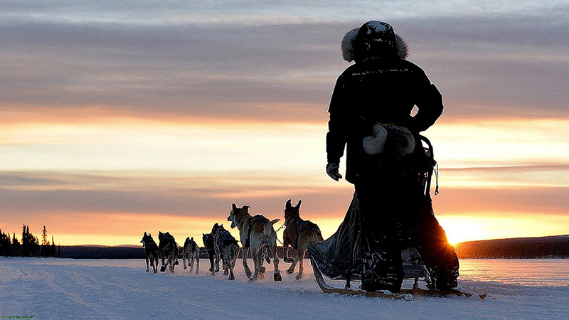 kiruna-dog-sled-tours_eyectacher.jpg