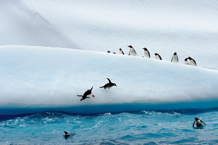 антарктида путешествие.jpg
