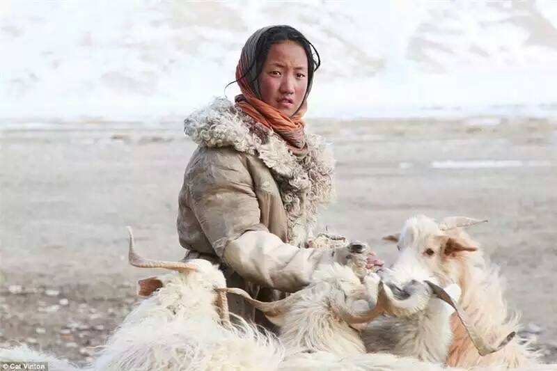 Кочевники Тибета