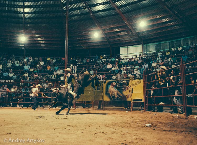 rodeo-35.jpg