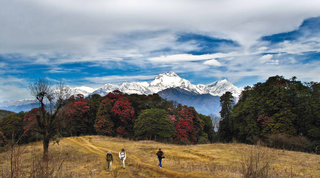 путешествие по непалу