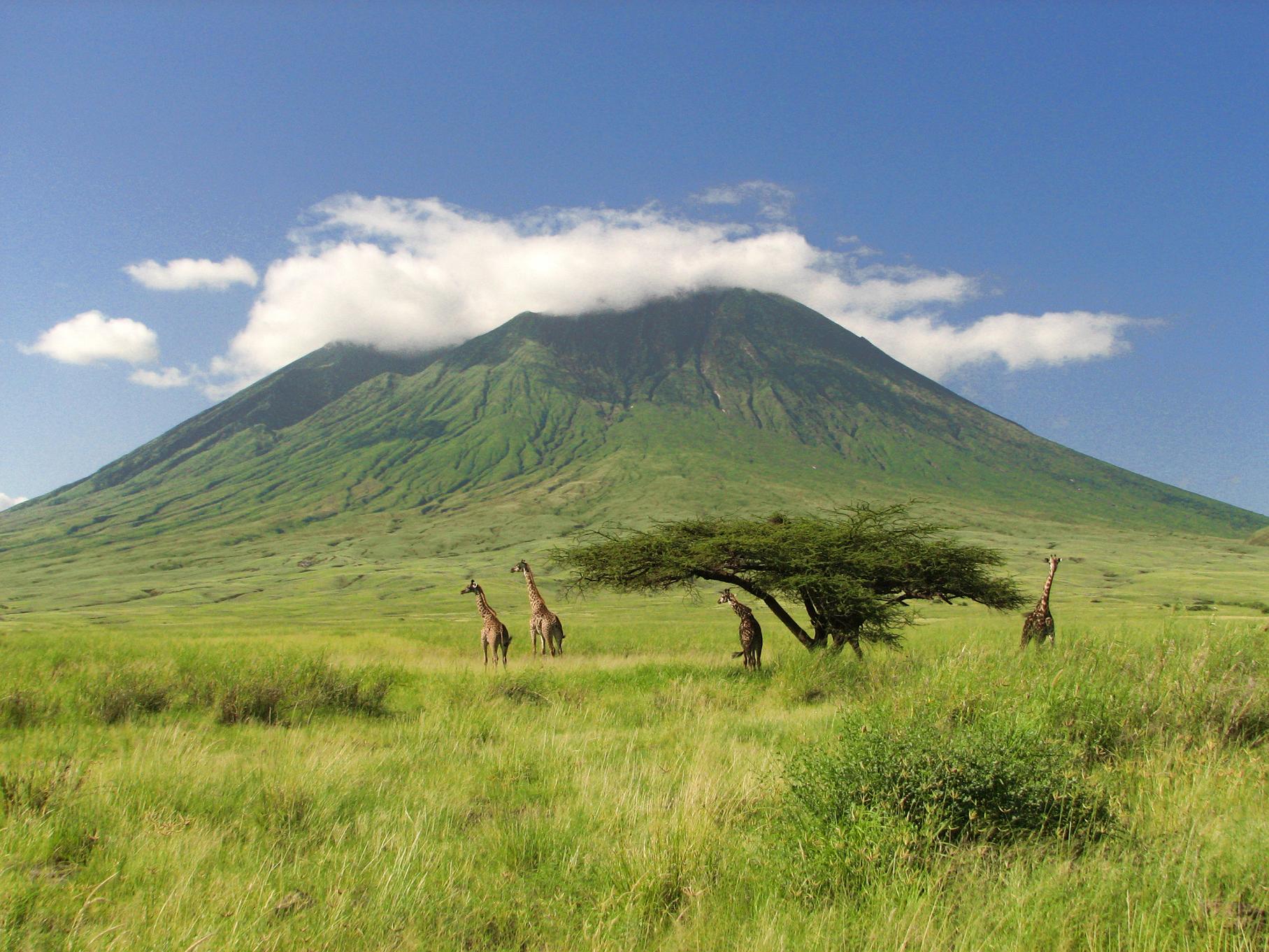 Восточное плоскогорье африки. Танзания вулкан Килиманджаро. Стратовулкан Килиманджаро Танзания. Гора Килиманджаро в Танзании, Африка. Восточно-африканское плоскогорье Танзания.