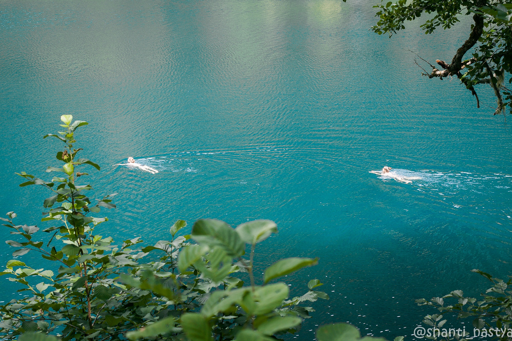 В прозрачной воде снуют. Сухумское озеро. Шанти озеро. Озеро с прозрачной водой. Чистая вода Абхазия.