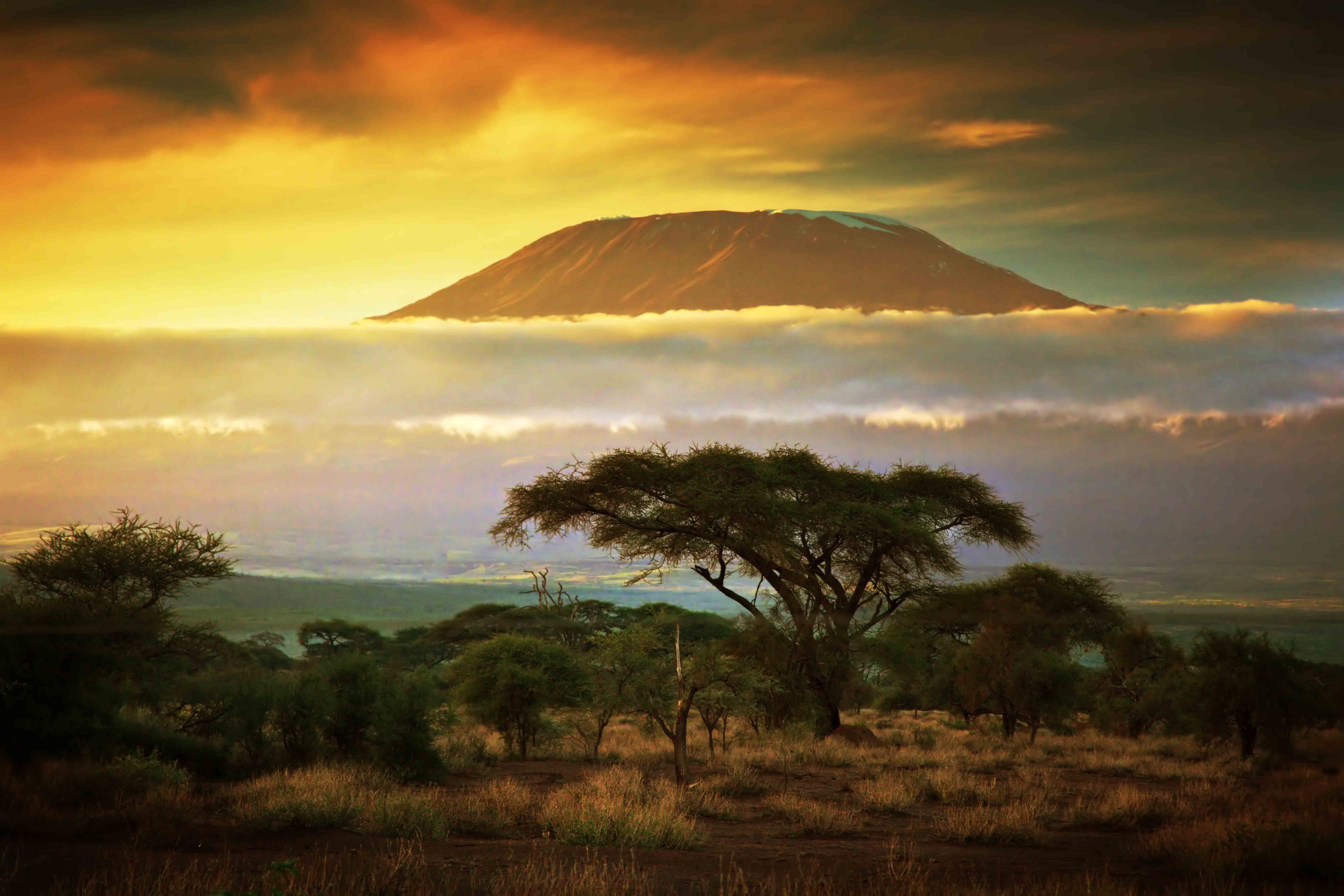 Donde esta el kilimanjaro