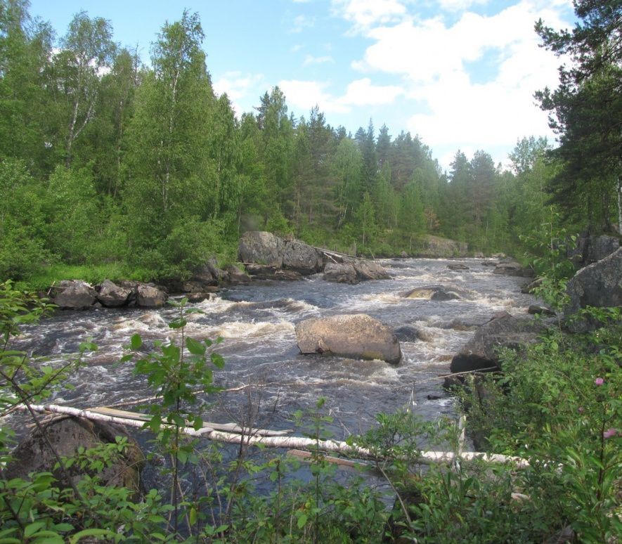 Река Водла в Карелии