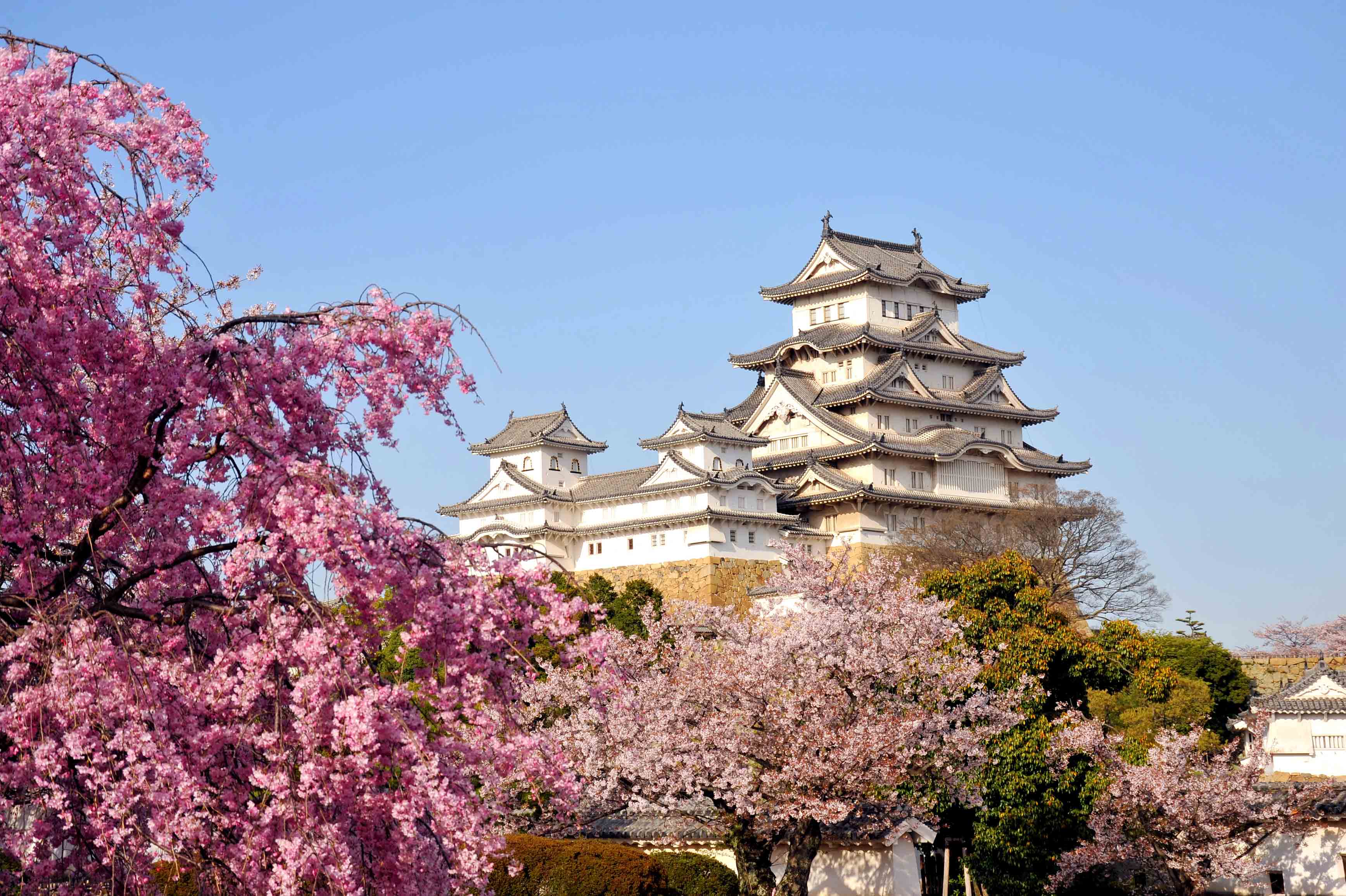 Japan. Замок Химэдзи Япония. Замок белой Цапли в Химедзи. Замок белой Цапли (Химэдзи), Япония. Химедзи (остров Хонсю).