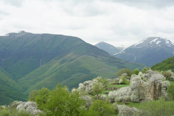 Кавказ