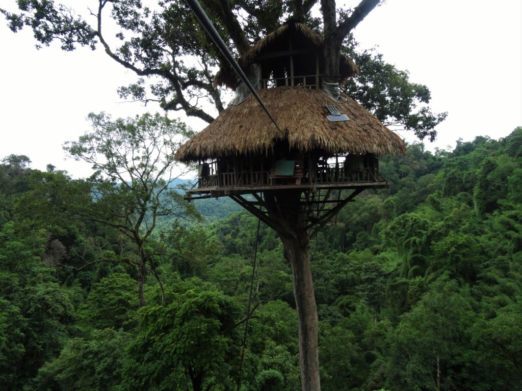 Путешествие по Лаосу. Часть 4. Gibbon Experience | Дом Путешественника