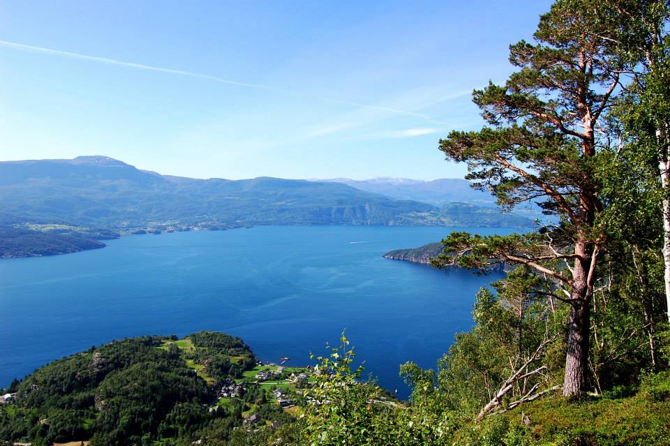 panorama_hardangerfiorda.jpg