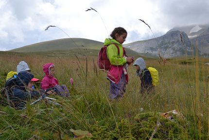 Дети в походе