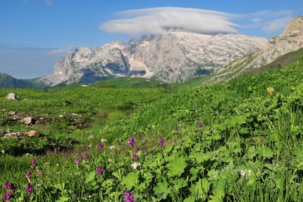 Яворовая поляна