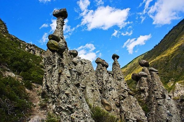 Каменные гибы