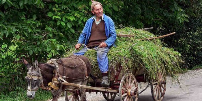 Туры в Родопских горах