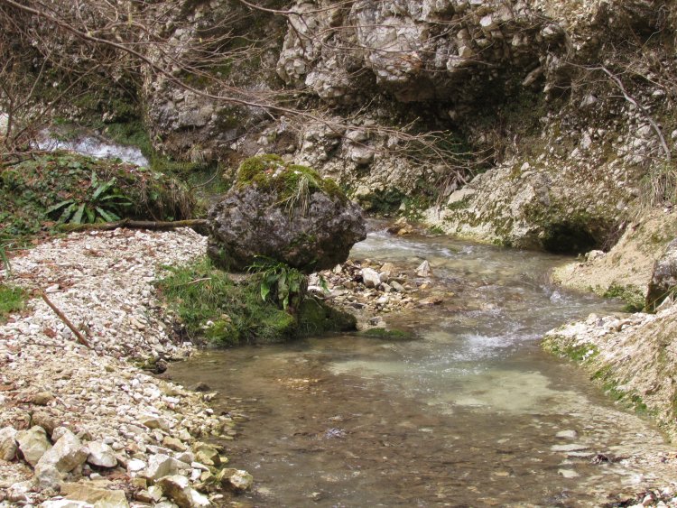 Абхазия поход по реке ущелье