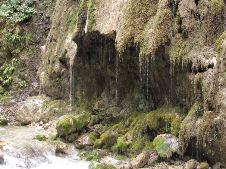 Абхазия поход по реке плачущие скалы