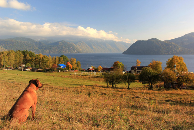 РЎРµР»Рѕ РЇР№Р»СЋ РўРµР»РµС†РєРѕРµ