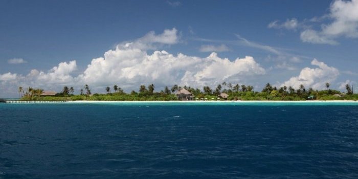 laamu11_largeh.jpg