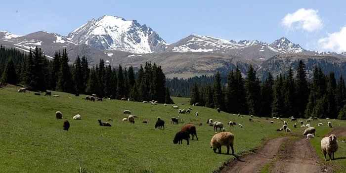 semenovskoe_ushchele_largeh.jpg