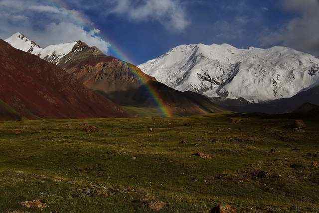 tury_na_pamir.jpg