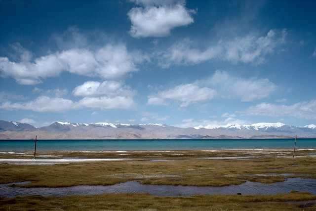 tury_tadzhikistan.jpg