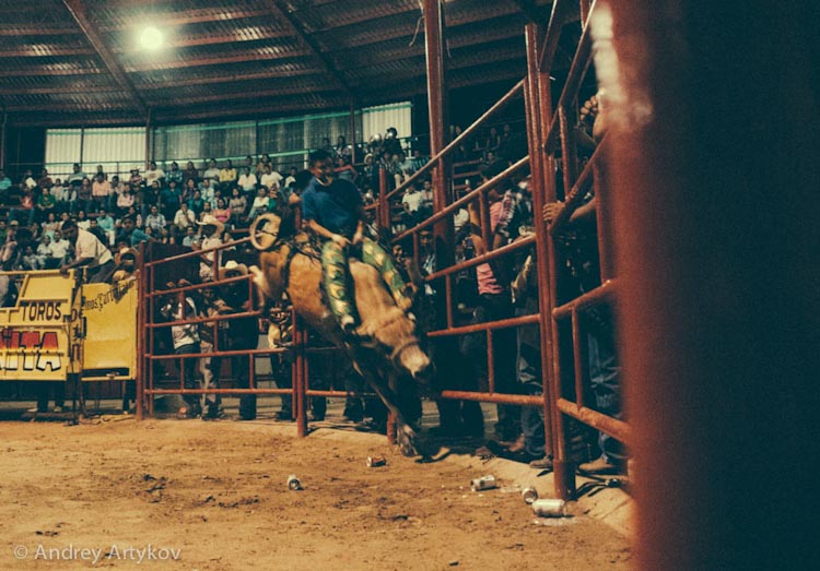 rodeo-29.jpg