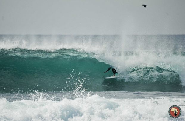 uar_surfing-14.jpg