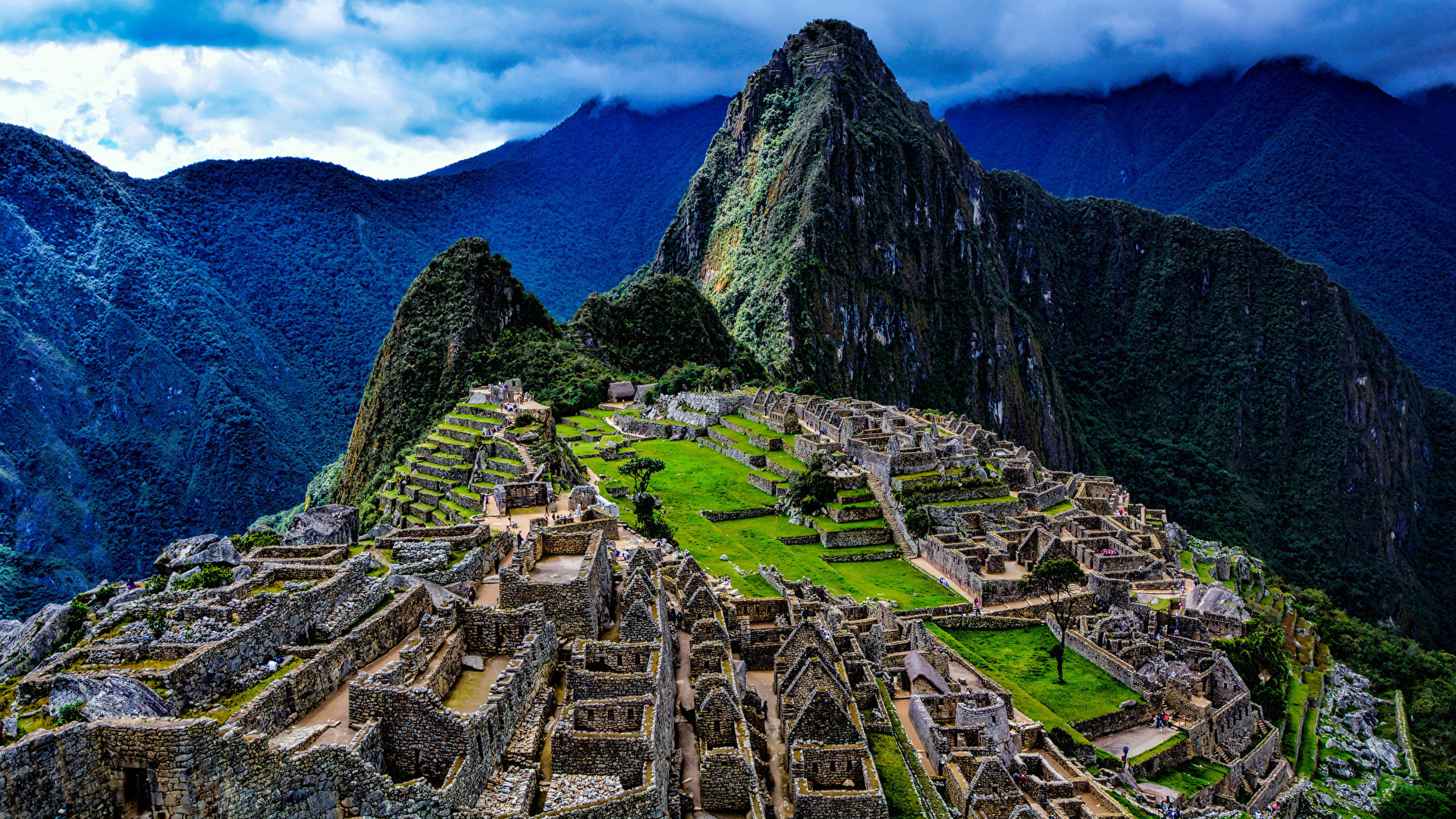 Dark Markets Peru