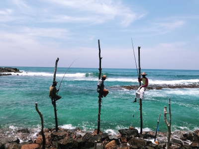 рыбаки на палках, Шри-Ланка