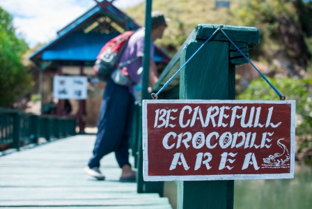 Crocodile Area??