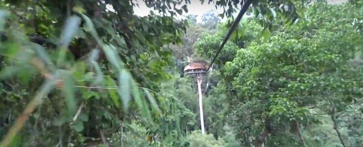 zipline Laos Gibbon experience