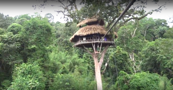 zipline Laos Gibbon experience