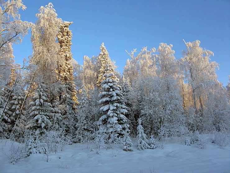 Чародейкою зимою картинки